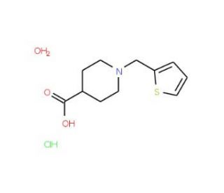 1-(Thien-2-ylmethyl)piperidine-4-carboxylic acid hydrochloride (CAS 944450-84-4) - chemical structure image 