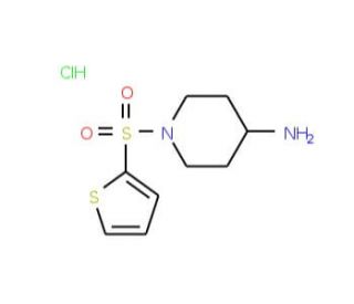 1-(thien-2-ylsulfonyl)piperidin-4-amine hydrochloride - chemical structure image