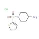 1-(thien-2-ylsulfonyl)piperidin-4-amine hydrochloride - chemical structure image