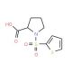 1-(thien-2-ylsulfonyl)pyrrolidine-2-carboxylic acid - chemical structure image