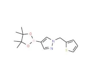 1-(Thiophen-2-ylmethyl)-1H-pyrazole-4-boronic acid pinacol ester (CAS 864754-19-8) - chemical structure image