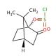 10-Camphorsulfonyl chloride (CAS 4552-50-5) - chemical structure image