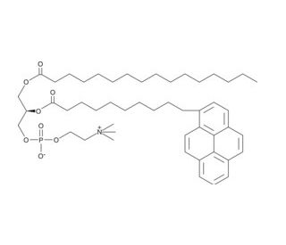 10-Pyrene-PC (CAS 95864-17-8) - chemical structure image