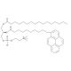 10-Pyrene-PC (CAS 95864-17-8) - chemical structure image