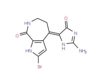 10Z-Hymenialdisine (CAS 82005-12-7) - chemical structure image