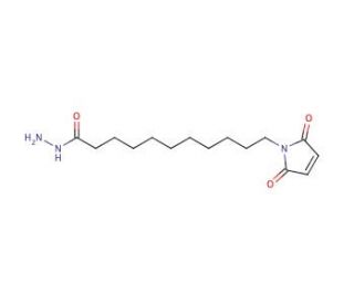 11-Maleimidoundecanoic Acid Hydrazide (CAS 359436-62-7) - chemical structure image