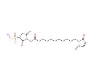 11-Maleimidoundecanoic Acid Sulfo-N-Succinimidyl Ester (CAS 211236-68-9) - chemical structure image