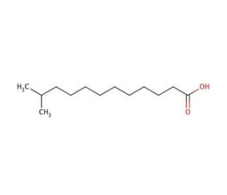 11-Methyllauric acid (CAS 5681-98-1) - chemical structure image