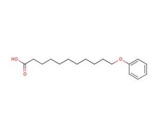 11-Phenoxyundecanoic acid (CAS 7170-44-7) - chemical structure image