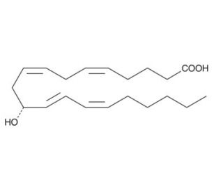 11(R)-HETE (CAS 73347-43-0) - chemical structure image