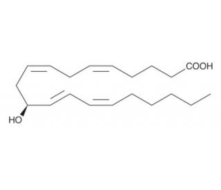 11(S)-HETE (CAS 54886-50-9) - chemical structure image