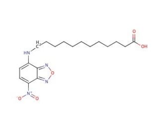12-(7-Nitrobenzofurazan-4-ylamino)dodecanoic acid (CAS 96801-39-7) - chemical structure image