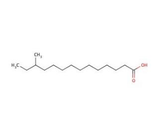 12-Methyltetradecanoic acid (CAS 5502-94-3) - chemical structure image