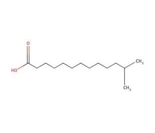 12-Methyltridecanoic acid (CAS 2724-57-4) - chemical structure image