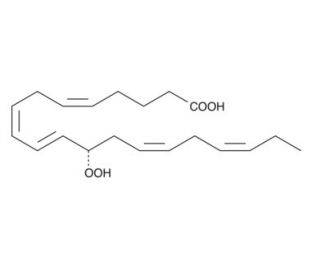 12(S)-HpEPE (CAS 103239-14-1) - chemical structure image