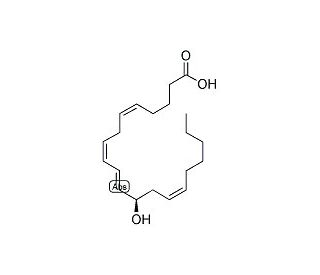 12(R)-HETE (CAS 82337-46-0) - chemical structure image