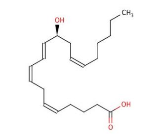 12(S)-HETE (CAS 54397-83-0) - chemical structure image