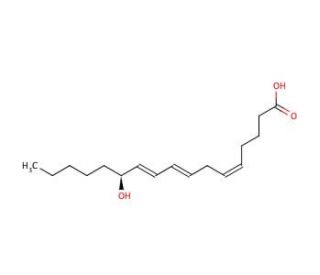 12(S)-HHT (CAS 54397-84-1) - chemical structure image