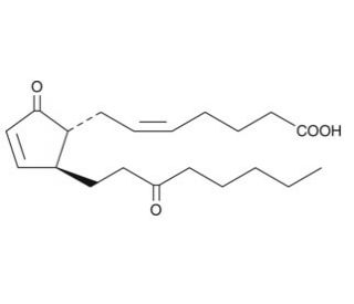 13,14-dihydro-15-keto Prostaglandin A2 (CAS 74872-89-2) - chemical structure image