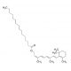 13-cis-Vitamin A Palmitate (CAS 26771-20-0) - chemical structure image