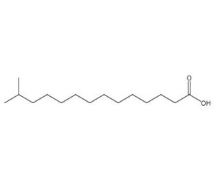 13-Methylmyristic acid (CAS 2485-71-4) - chemical structure image