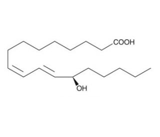 13(R)-HODE (CAS 10219-69-9) - chemical structure image