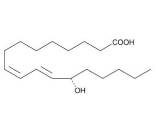 13(S)-HODE (CAS 29623-28-7) - chemical structure image