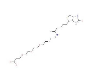 15-[D(&plus;)-Biotinylamino]-4,7,10,13-tetraoxapentadecanoic acid (CAS 721431-18-1) - chemical structure image