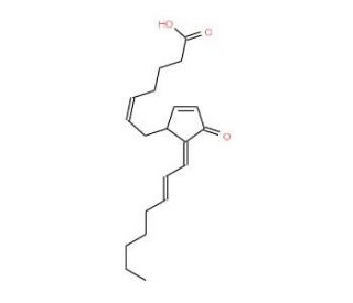 15-deoxy-Δ12,14-Prostaglandin A2 (CAS 112839-31-3) - chemical structure image