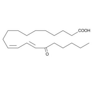 15-OxoEDE (CAS 105835-44-7) - chemical structure image