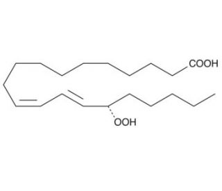 15(S)-HpEDE (CAS 145375-41-3) - chemical structure image