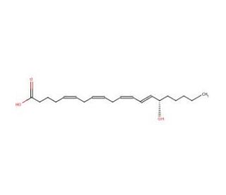 15(S)-HETE (CAS 54845-95-3) - chemical structure image