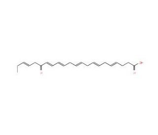 17-keto-(4Z,7Z,10Z,13Z,15E,19Z)-Docosahexaenoic Acid (CAS 1233715-28-0) - chemical structure image