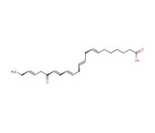 17-keto-(7Z,10Z,13Z,15E,19Z)-Docosapentaenoic Acid - chemical structure image