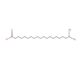 19-Methylarachidic acid (CAS 59708-73-5) - chemical structure image