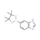 1H-Benzimidazole-5-boronic acid pinacol ester (CAS 1007206-54-3) - chemical structure image