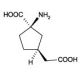 (1R,3S)-homo-ACPD (CAS 194785-80-3) - chemical structure image