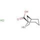 (1R,5S)-6-azabicyclo[3.2.1]octane-5-carboxylic acid hydrochloride (CAS 882182-42-5) - chemical structure image