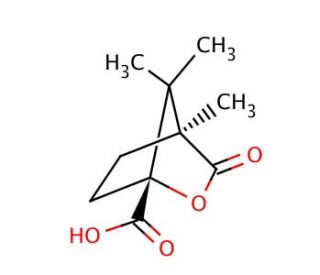 (1R)-(&plus;)-Camphanic acid (CAS 67111-66-4) - chemical structure image