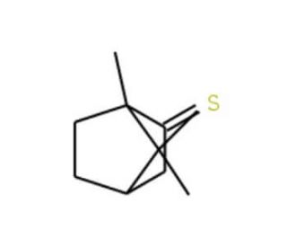 (1R)-(&minus;)-Thiocamphor (CAS 53402-10-1) - chemical structure image