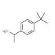 (1S)-1-(4-tert-butylphenyl)ethanamine (CAS 511256-37-4) - chemical structure image