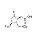 [1S-(1β,2α,3β)]-(+)-3-Methyl-2-(nitromethyl)-5-oxocyclopentaneacetic acid - chemical structure image