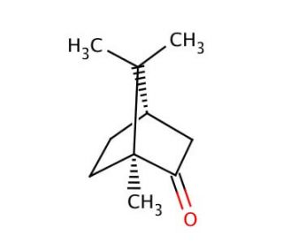 (1S)-(&minus;)-Camphor (CAS 464-48-2) - chemical structure image