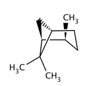(1S)-(&minus;)-trans-Pinane (CAS 10281-53-5) - chemical structure image