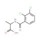 2-[(2,3-dichlorophenyl)formamido]propanoic acid - chemical structure image