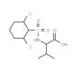 2-{[(2,6-dichlorophenyl)sulfonyl]amino}-3-methylbutanoic acid - chemical structure image