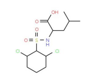 2-{[(2,6-dichlorophenyl)sulfonyl]amino}-4-methylpentanoic acid - chemical structure image