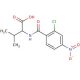 2-[(2-chloro-4-nitrobenzoyl)amino]-3-methylbutanoic acid - chemical structure image
