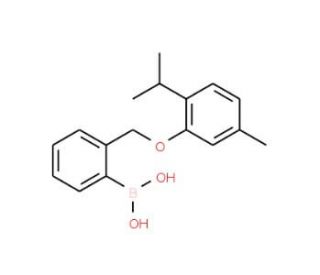 2-[(2-Isopropyl-5-methylphenoxy)methyl]phenylboronic acid (CAS 1072951-87-1) - chemical structure image