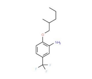 2-[(2-Methylpentyl)oxy]-5-(trifluoromethyl)aniline - chemical structure image